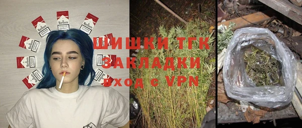соль ск Верхний Тагил