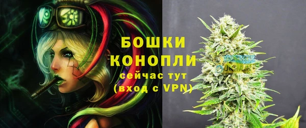 соль ск Верхний Тагил