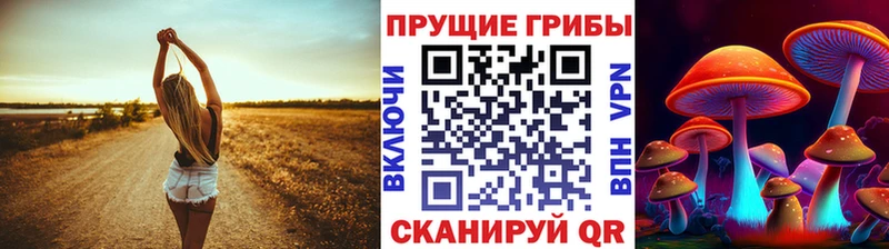 Псилоцибиновые грибы Psilocybe  купить наркотики сайты  Подпорожье 
